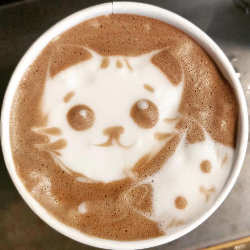 Catfe latte